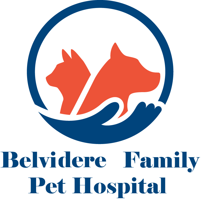 Belvidere Family Pet Hospital